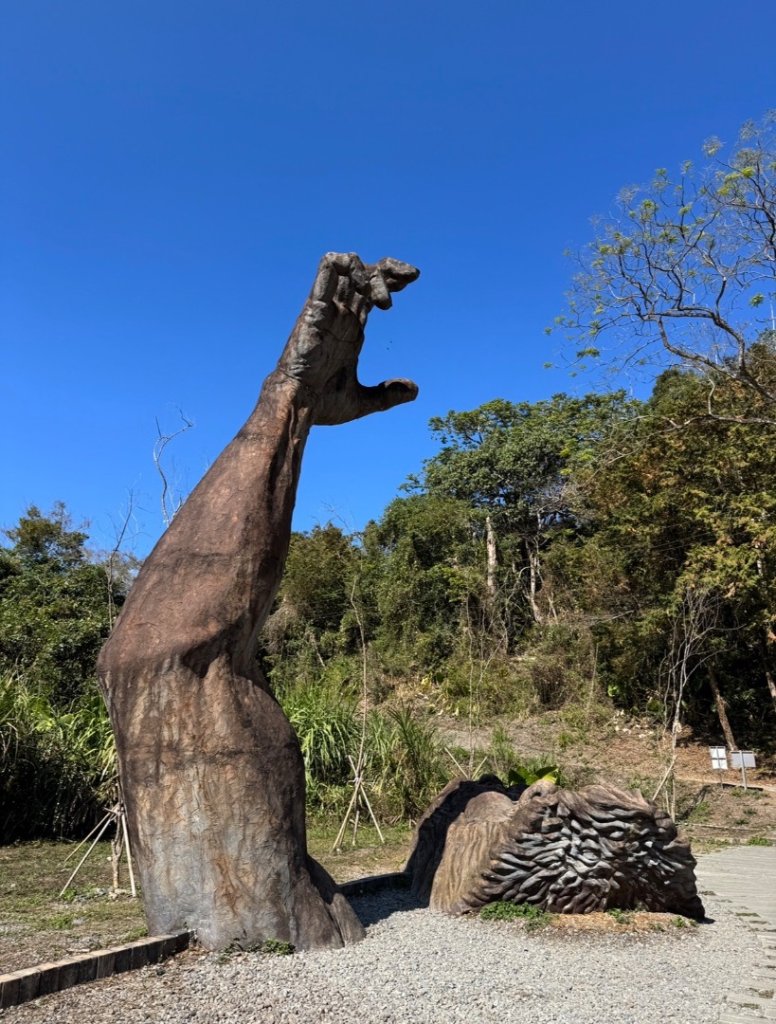 雪山坑登山步道尋巨人_2978409