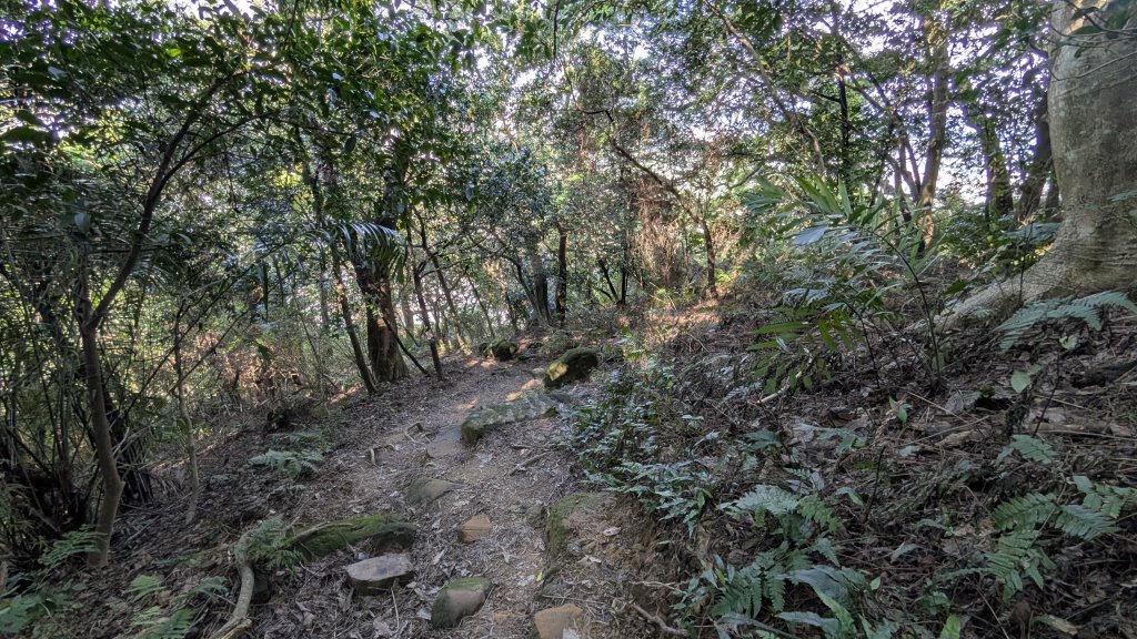 114.11.22鳶山彩碧-鳶山-鳶尾山之旅_2943605