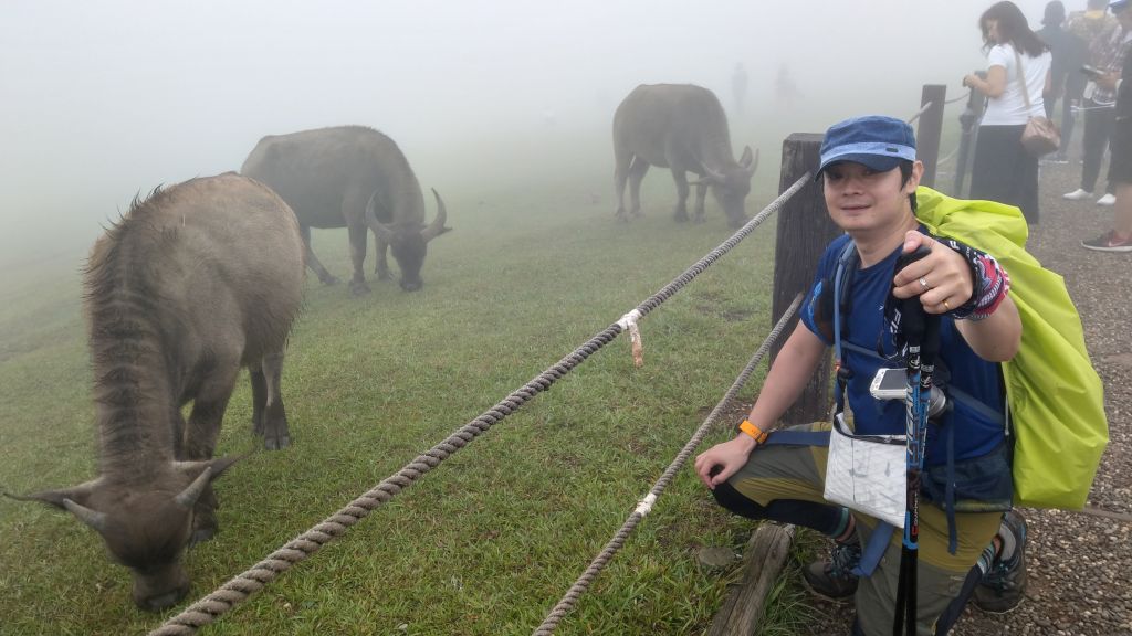 陽明山東西大縱走活動_402815