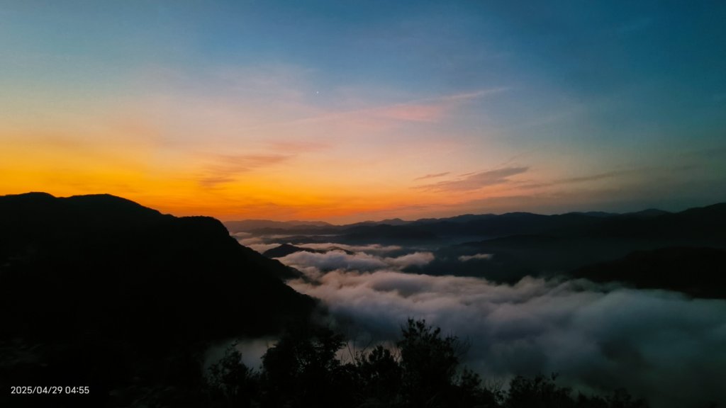 翡翠水庫壩頂 #火燒雲雲海 #日出雲海 #鱷魚島 #藍腹鷴 4/29_2772645