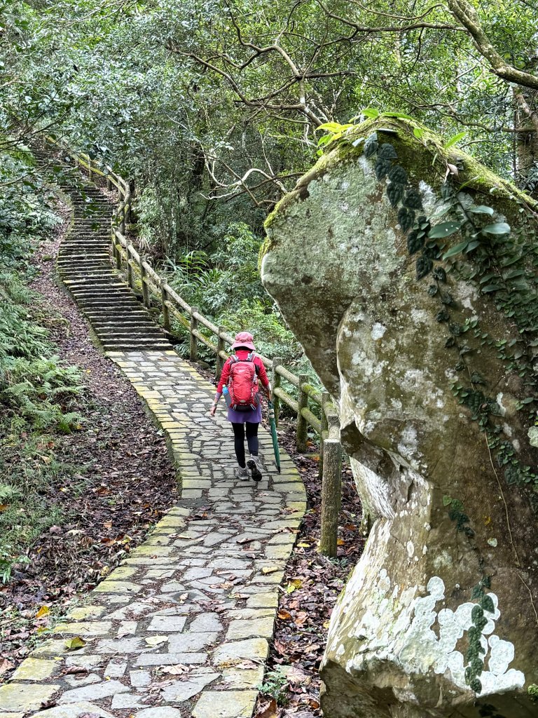 大山背山+騎龍山O繞2025.12.28_2979480