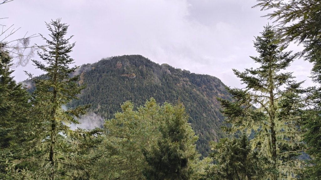 新康五天~戒茂斯進，出瓦拉米_2949710