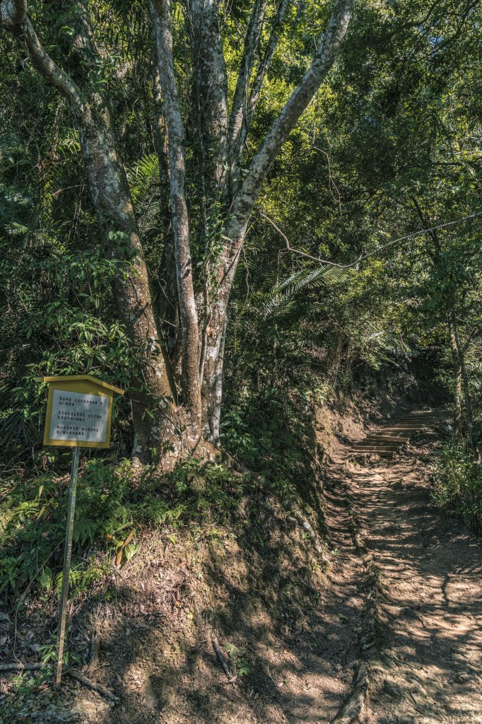 苗栗獅頭山-20211210_1547238