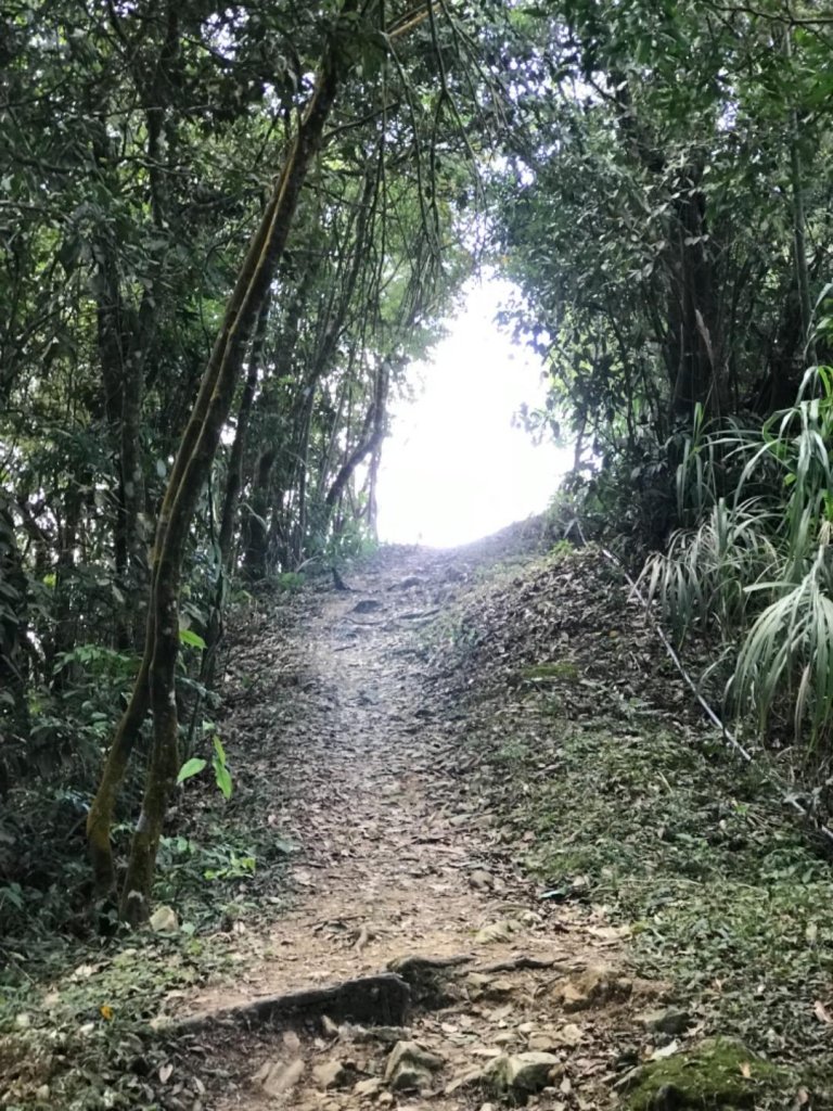 樟腦寮車站上獨立山奉天岩泡茶煮泡麵大巃頂看群峰美景_469997