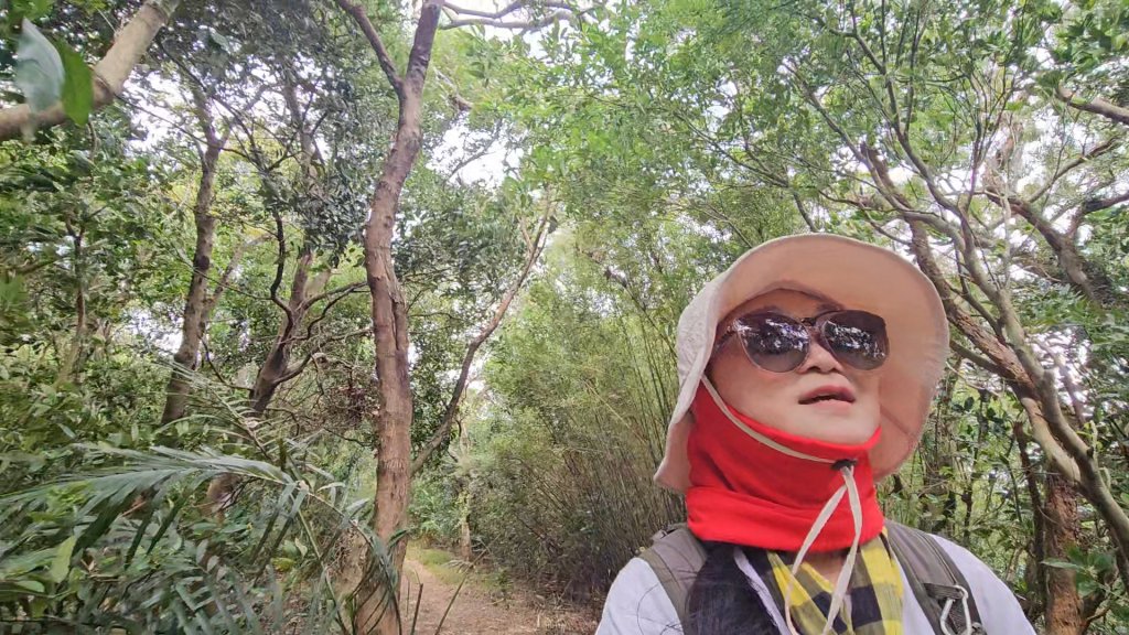 竹北文山步道＆犁頭山稜線步道賞高鐵+大墩山柿園_2934081