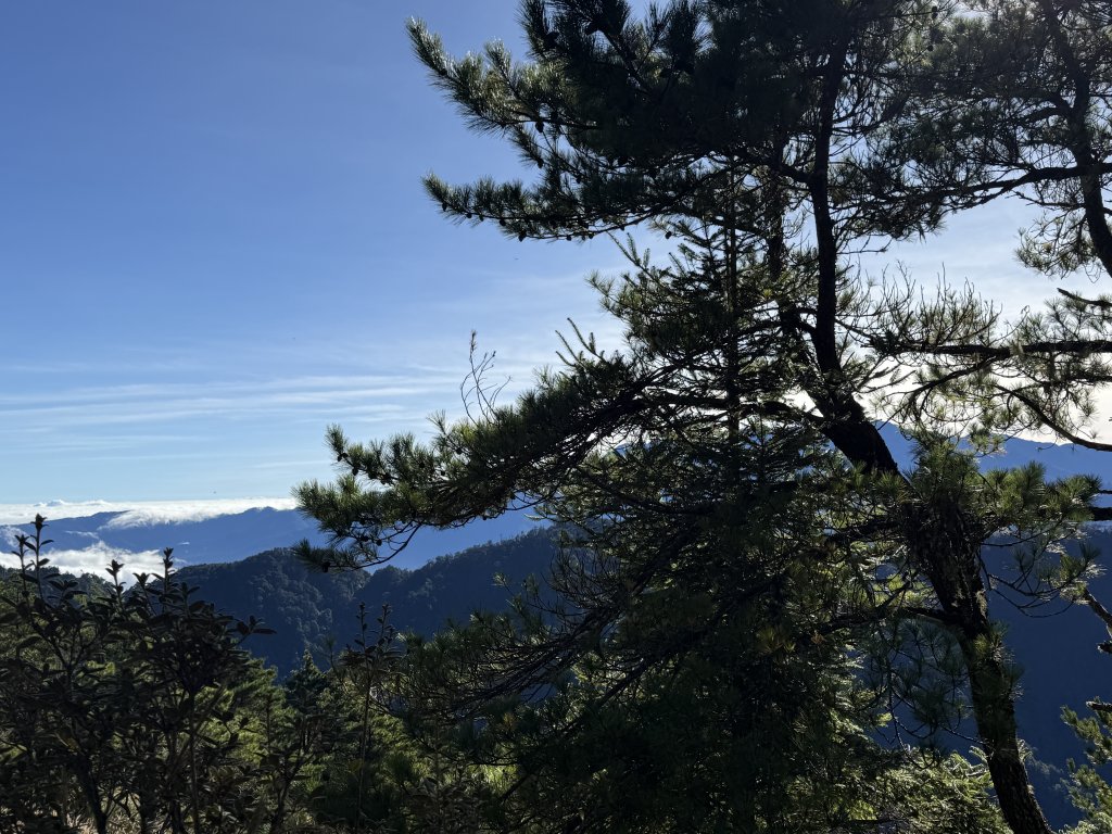 1141108-09桃山單攻_2936004