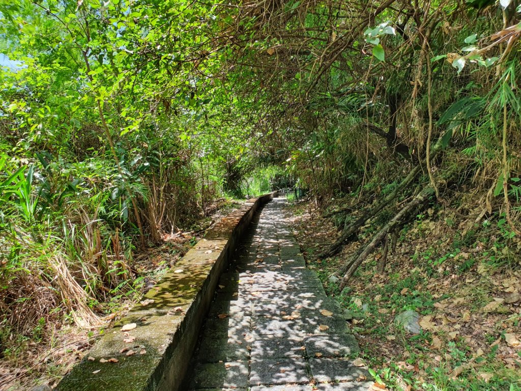 崇德步道、清水斷崖_1463156