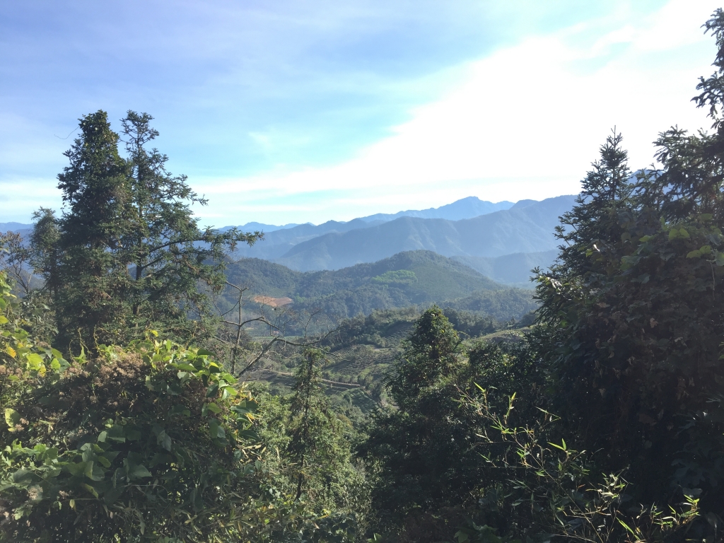 ［南投］貓囒山步道_97387