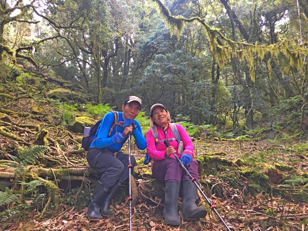 里佳部落登多陽、棚育、棚機山_463671
