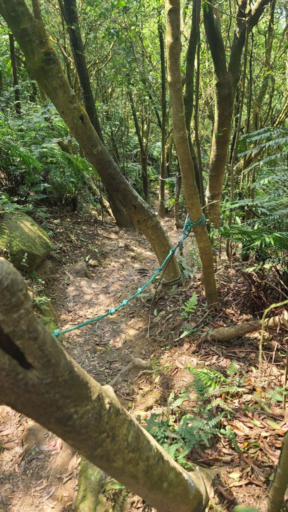 20024-0329臺北大縱走第四段：風櫃口站牌至大湖捷運站_2467539