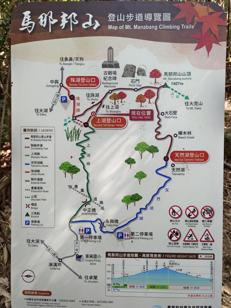 馬那邦山看楓紅/遠望聖稜線/180度大景視野_2358870