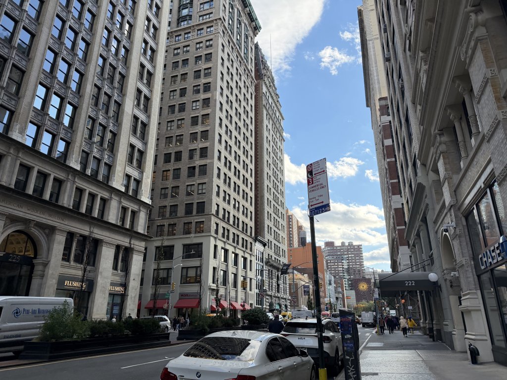 [紐約馬之行-03] 2025_1031 西奧多·羅斯福出生地國家歷史遺址_2943434