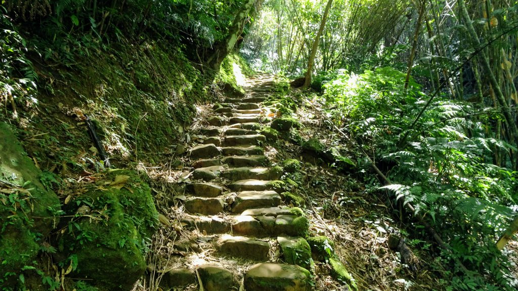 金棗，我想來點打鐵寮古道，叮咚。_1150040