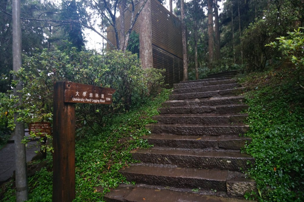 溪頭自然教育園區_2016895