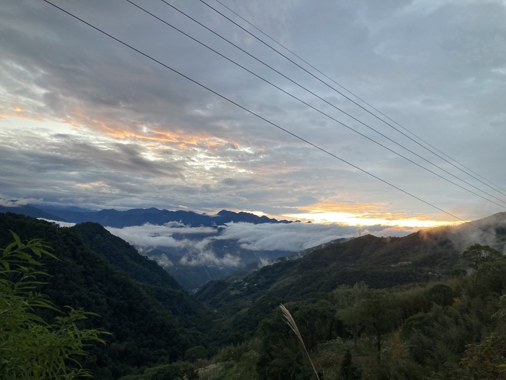 東眼山自導式步道(二訪)_2367010
