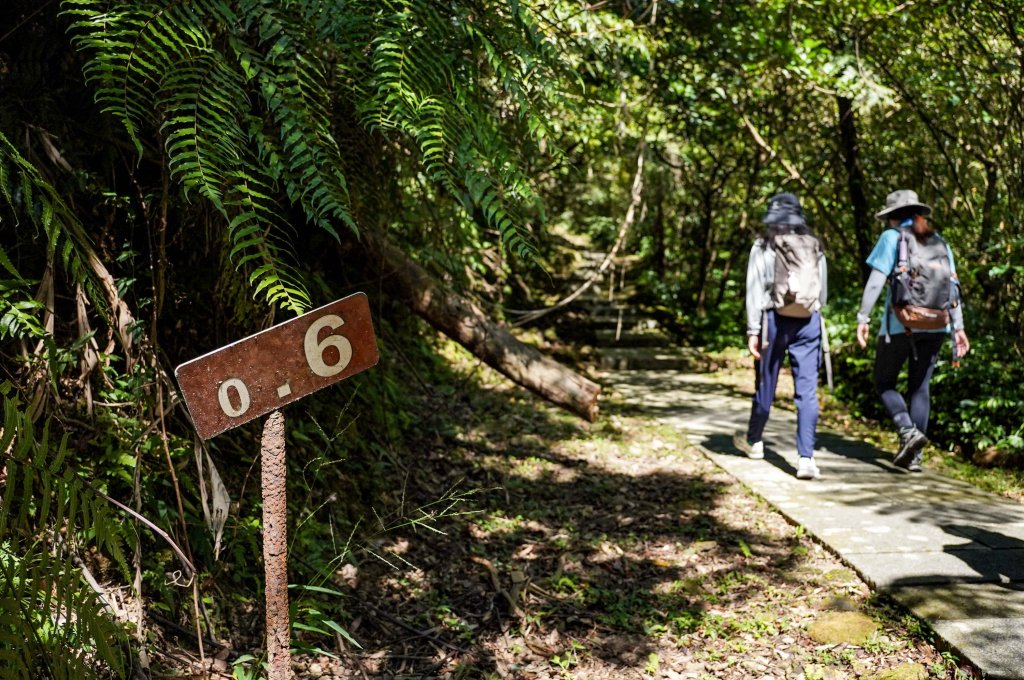 五分山｜小百岳_2915428