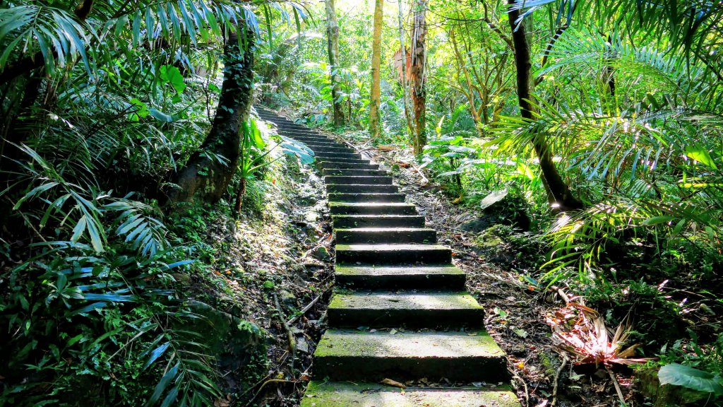 矽之長歌_2968741