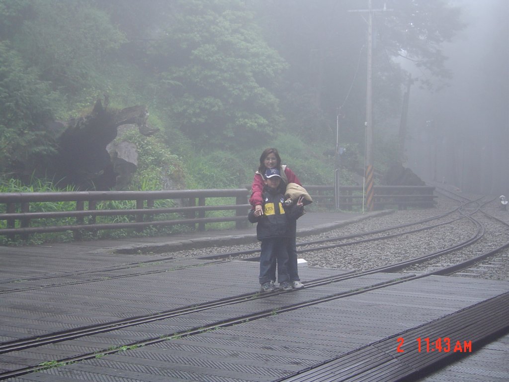 2008 May 阿里山步道_584674