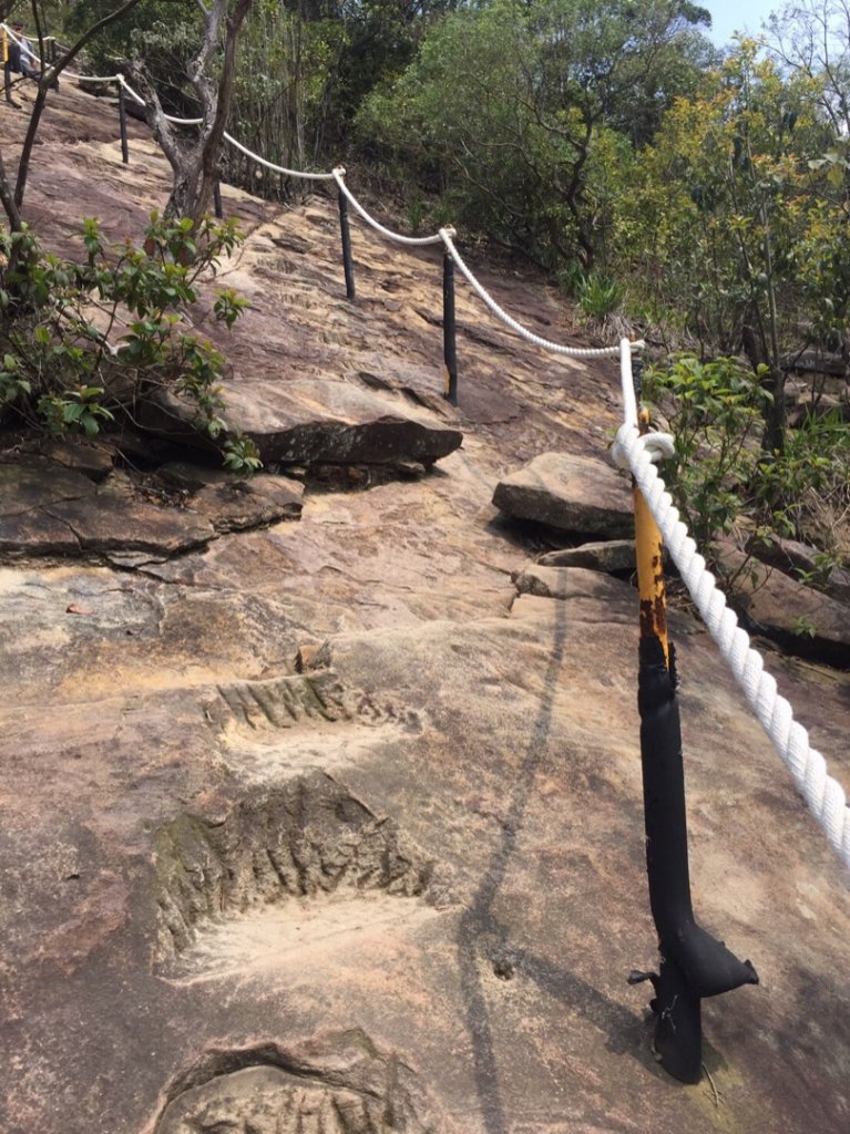 金面山、剪刀石108=0404_565917