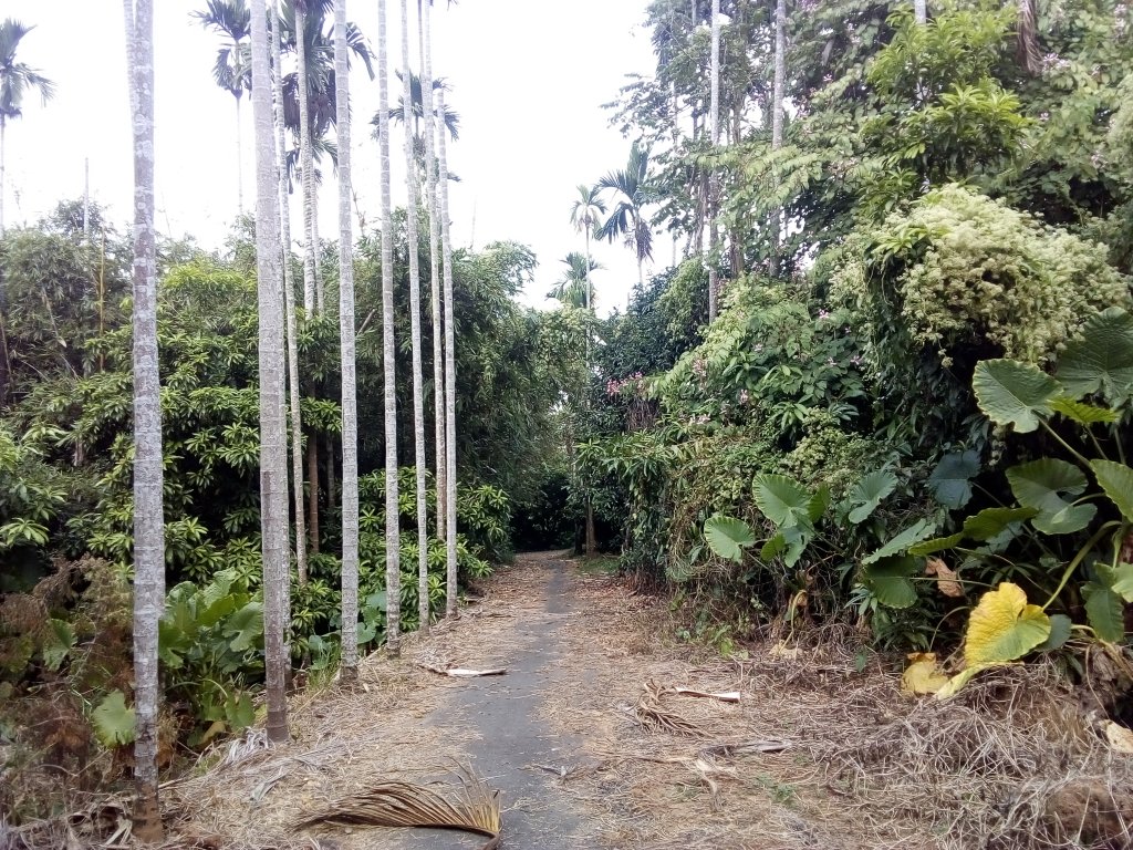 2018.11.17紅毛埤山之旅_1411335