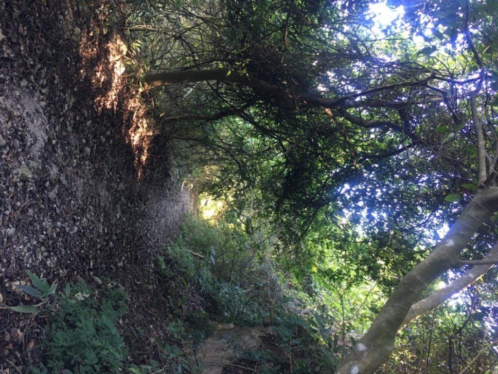 枕頭山o、火山碧雲寺、水火同源_2390181