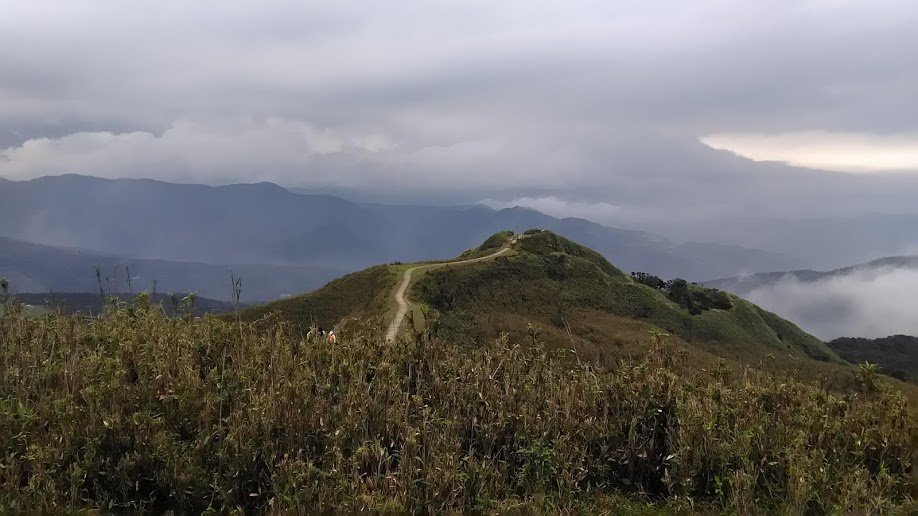 2019 3/2 草嶺古道 桃源谷_853699
