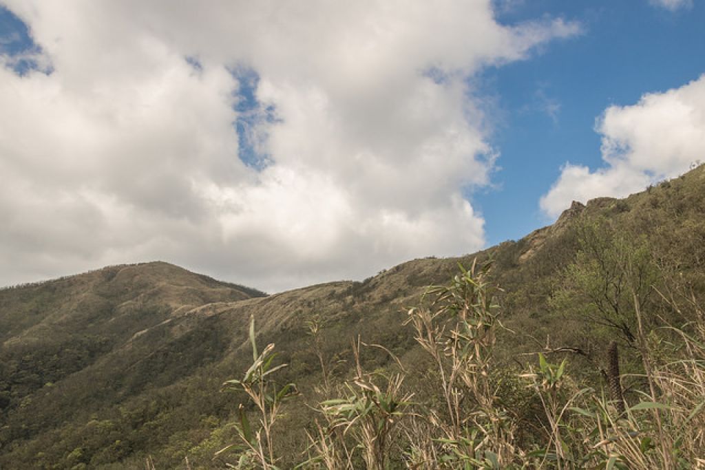 WL 愛旅行【三角崙山】_286164