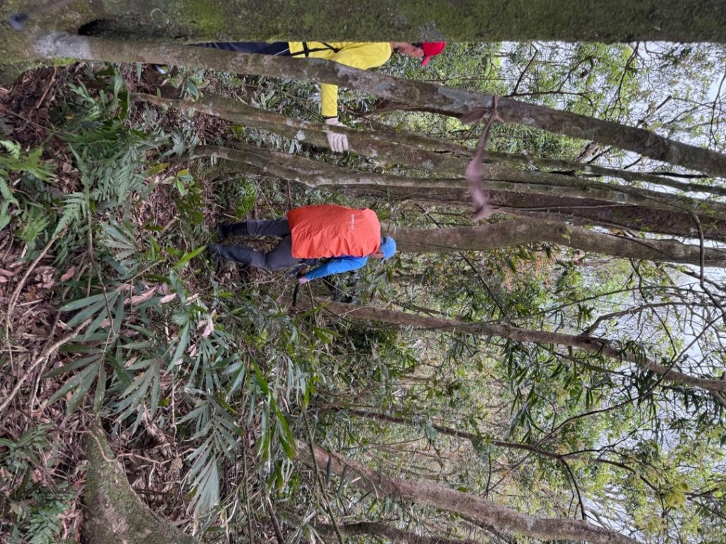 桂山路197巷 》呂奔山北峰 》呂奔山 》阿玉壩_2755820