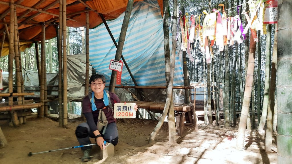 《南投》竹林台灣杉｜溪頭山竹崙山志騰山O繞20230218_2035826