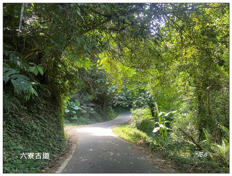 獅山五連峰 (猿山、六寮山、獅尾山、獅頭山、玖玖山)_2871339