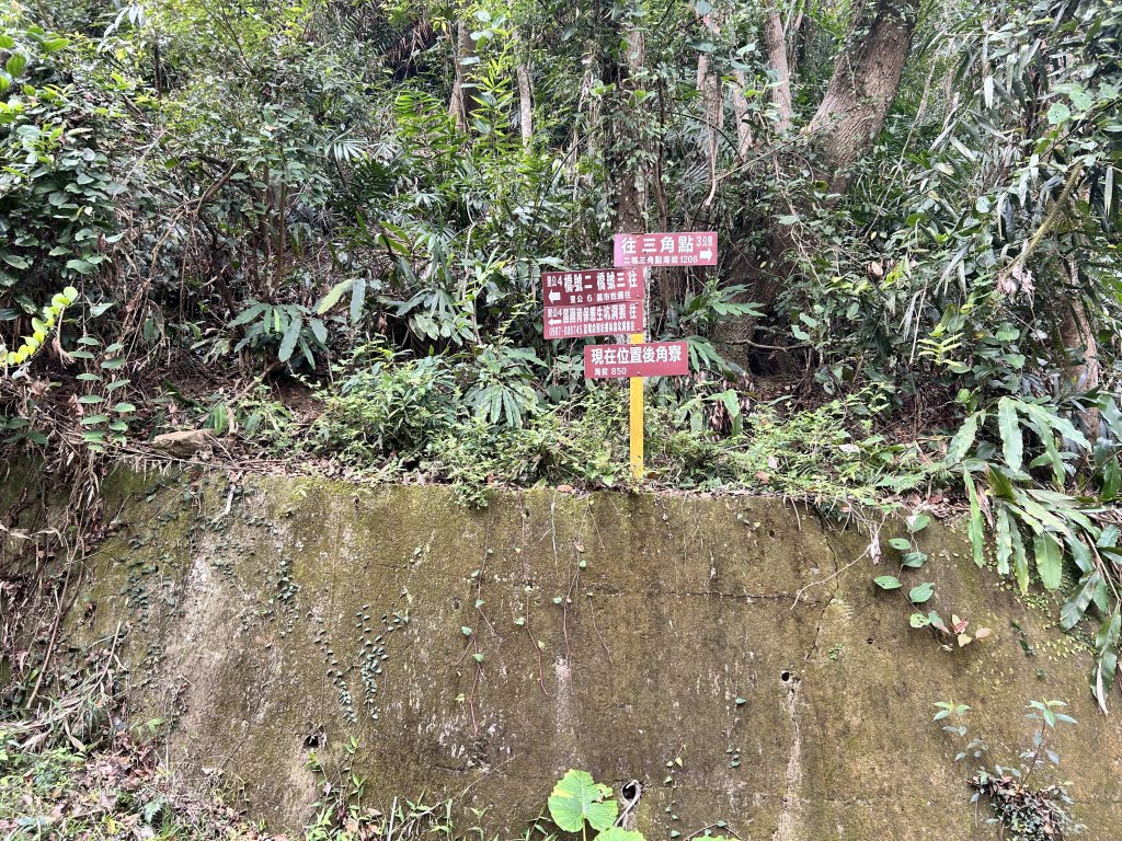 大橫屏山_2721449