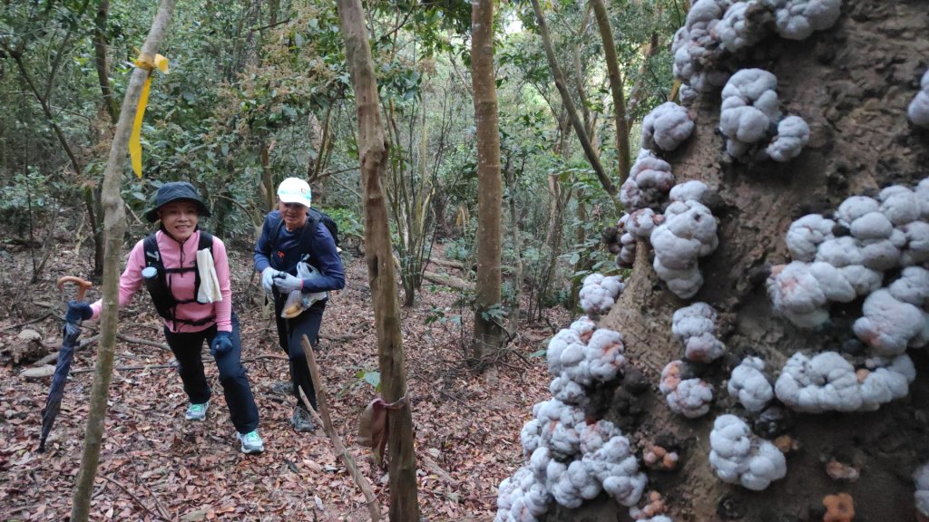 衣丁山單攻初體驗2025年3月30日_2749811