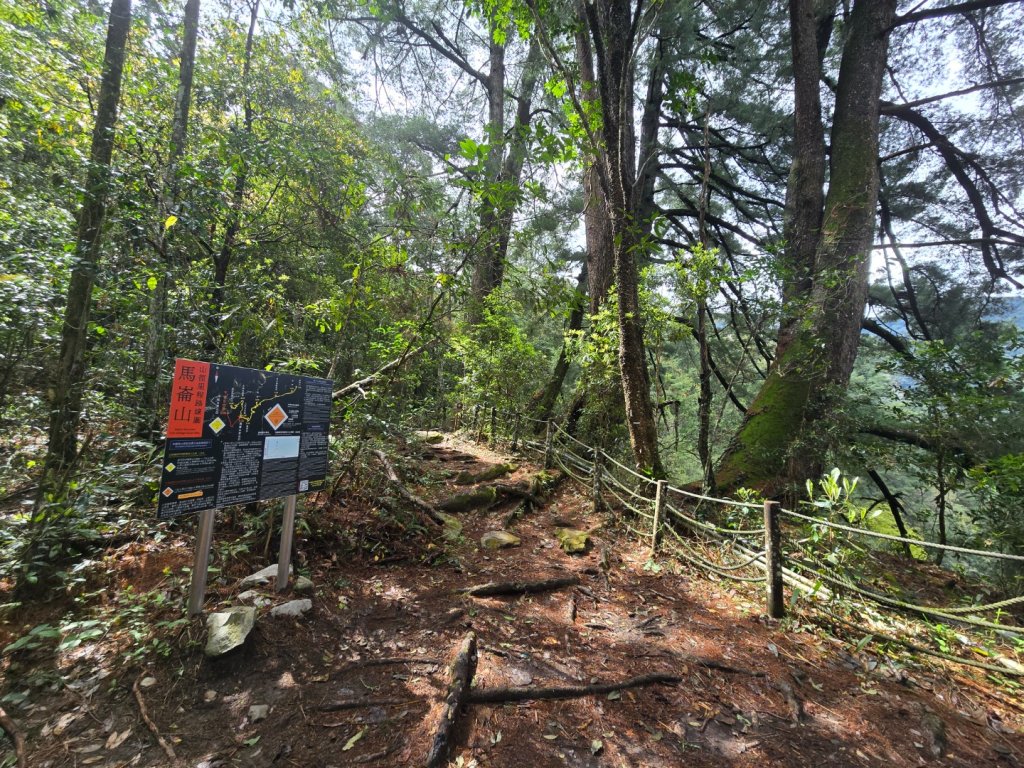 谷關七熊馬崙山_2748775