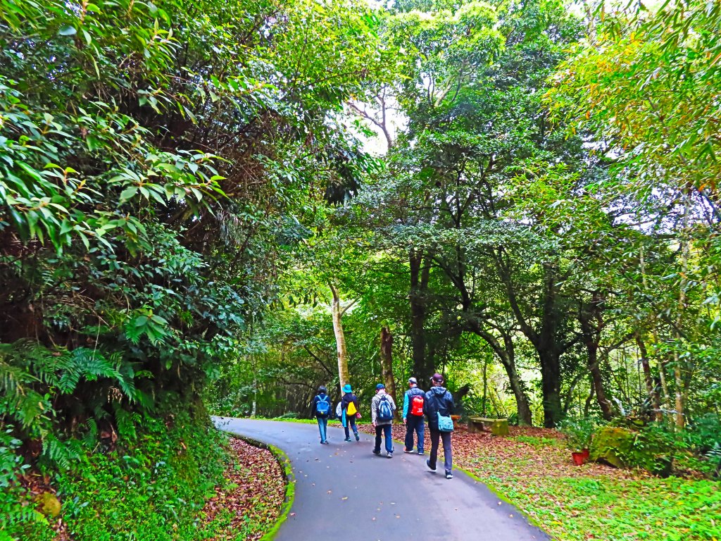 好療癒及老少咸宜的步道：百吉林蔭步道_551091