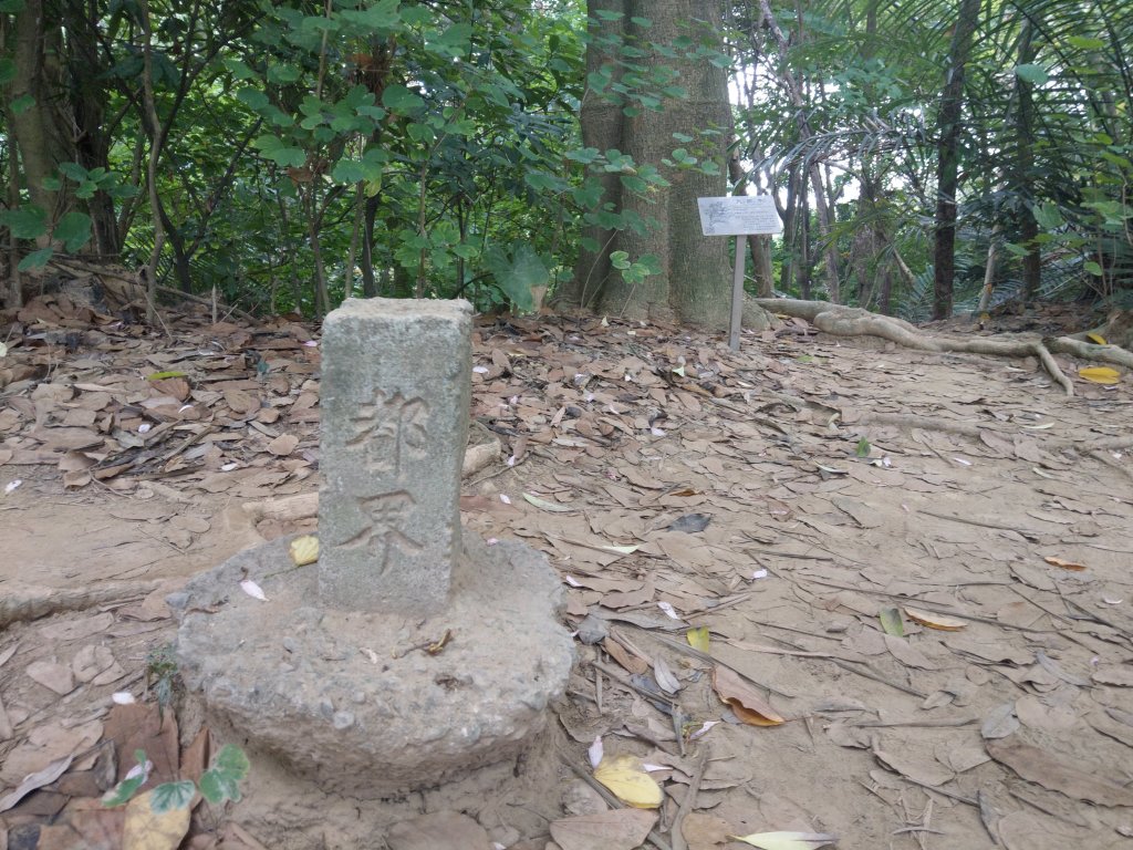 蘭潭後山步道、紅毛埤山(小百岳#62) 2020/11/7_1427935