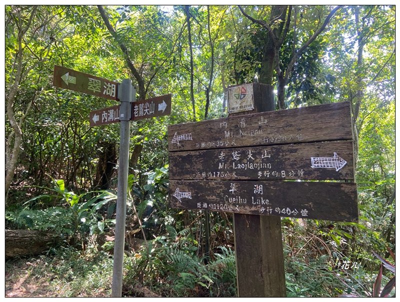 金龍湖、鷹石尖、老鷲尖、內溝山 O型一圈_2966637