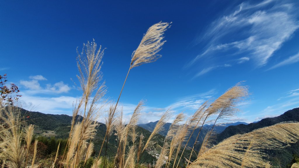 享受包山的感覺封面圖