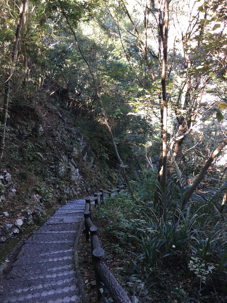 20161119_谷關七雄之四-波津加山_873757