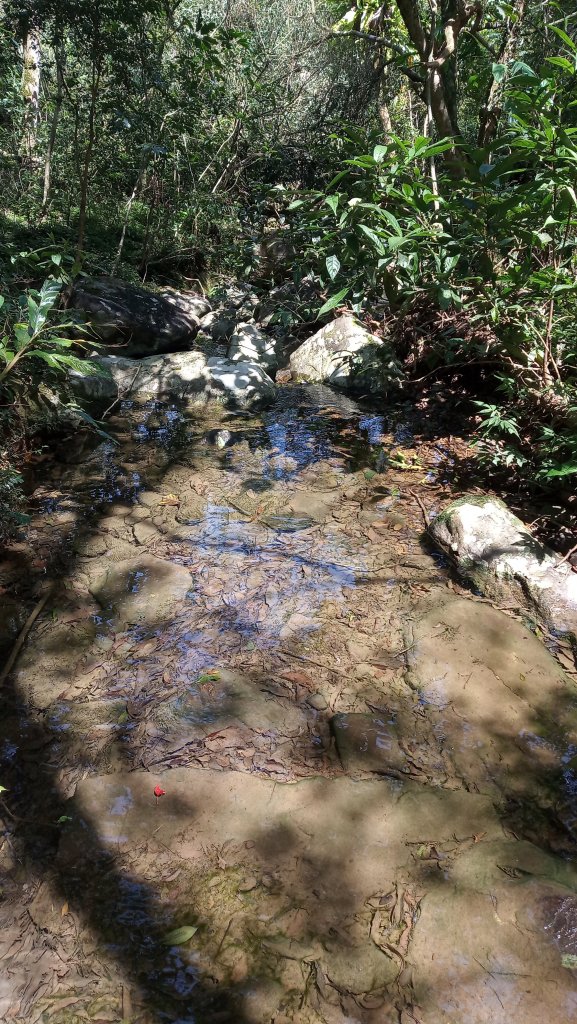 疾速礁溪試跑_880758