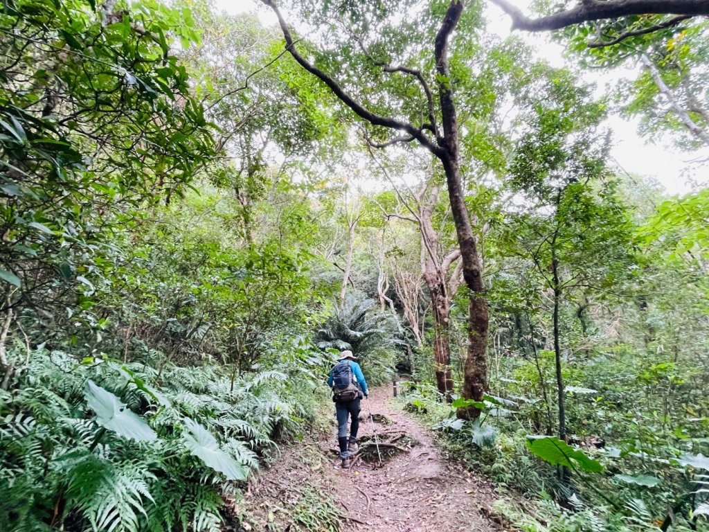 1150124帽子山。25落山風藝術季。_2987158