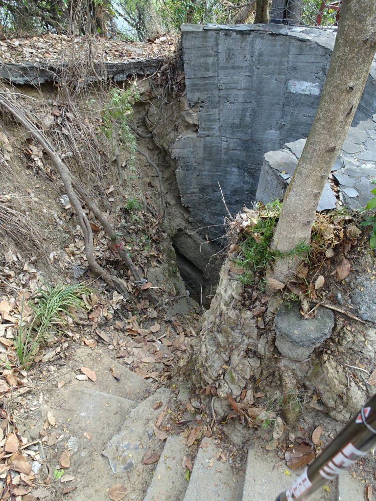 台灣小百岳第75座高雄大社-觀音山三角點_565769