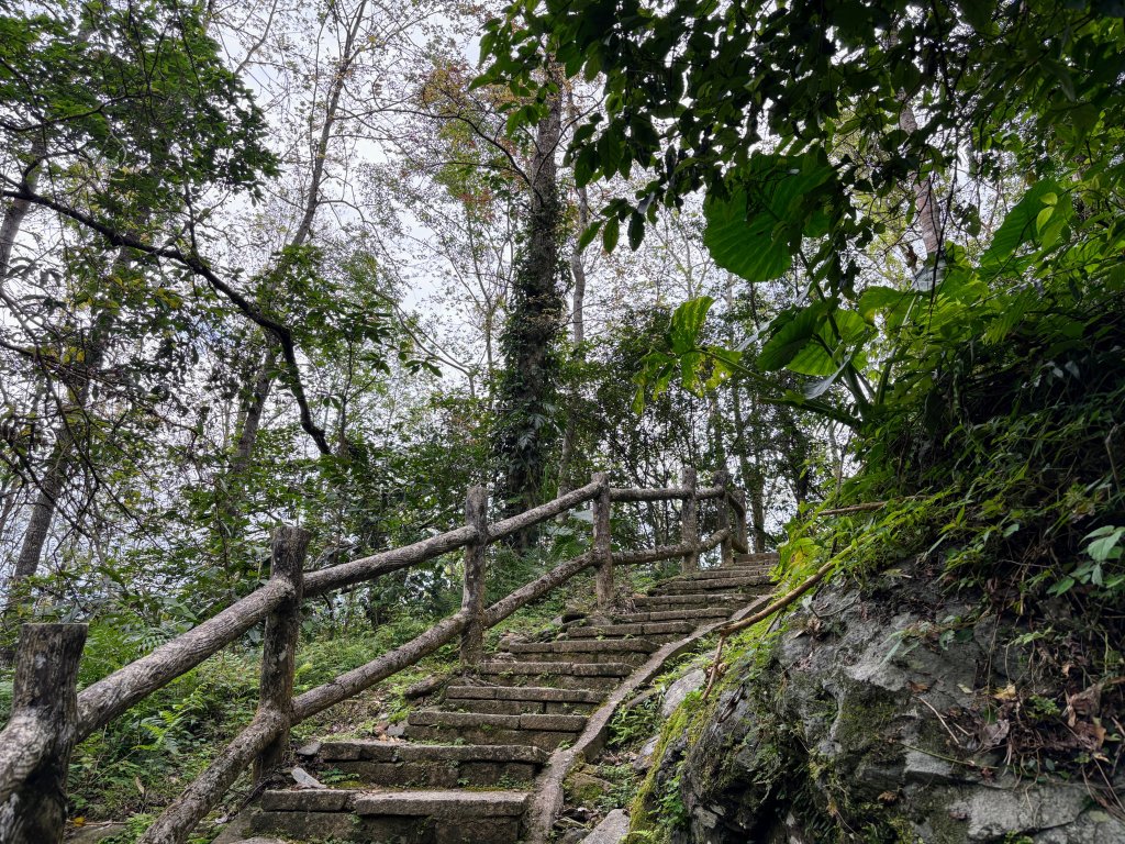 鯉魚山步道群_2728301