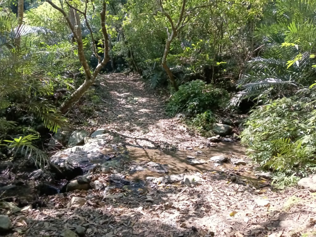 橋板湖山+梗枋山(大溪車站-龜山車站)_2750069