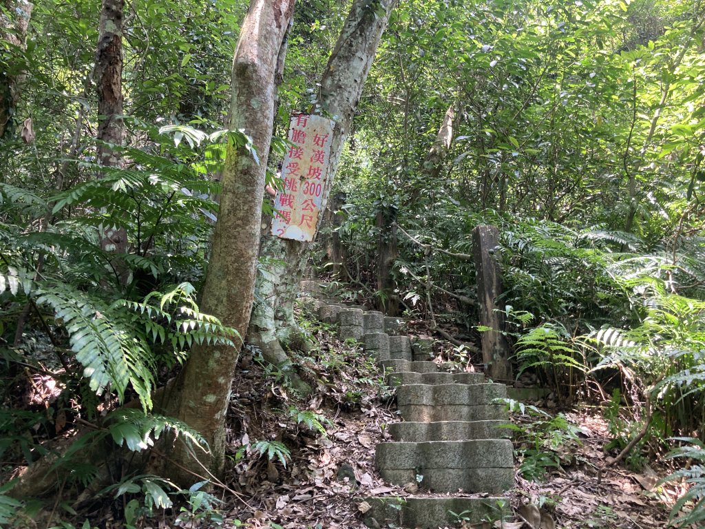 打牛崎古道_2563992