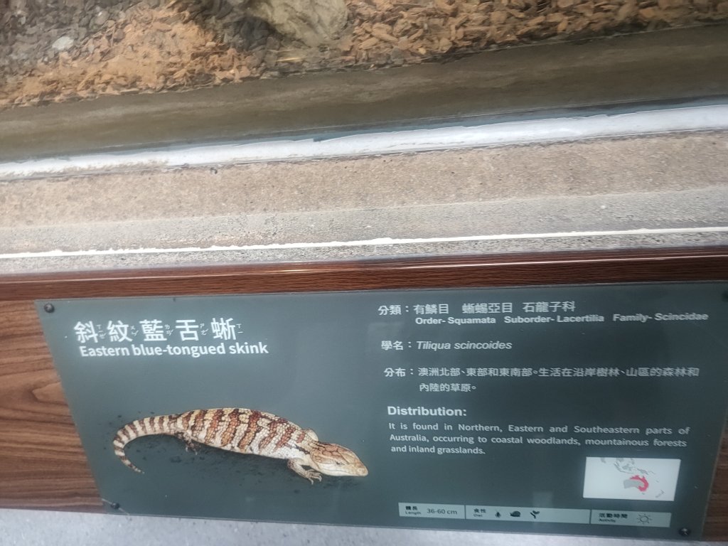 台北動物園_2663996