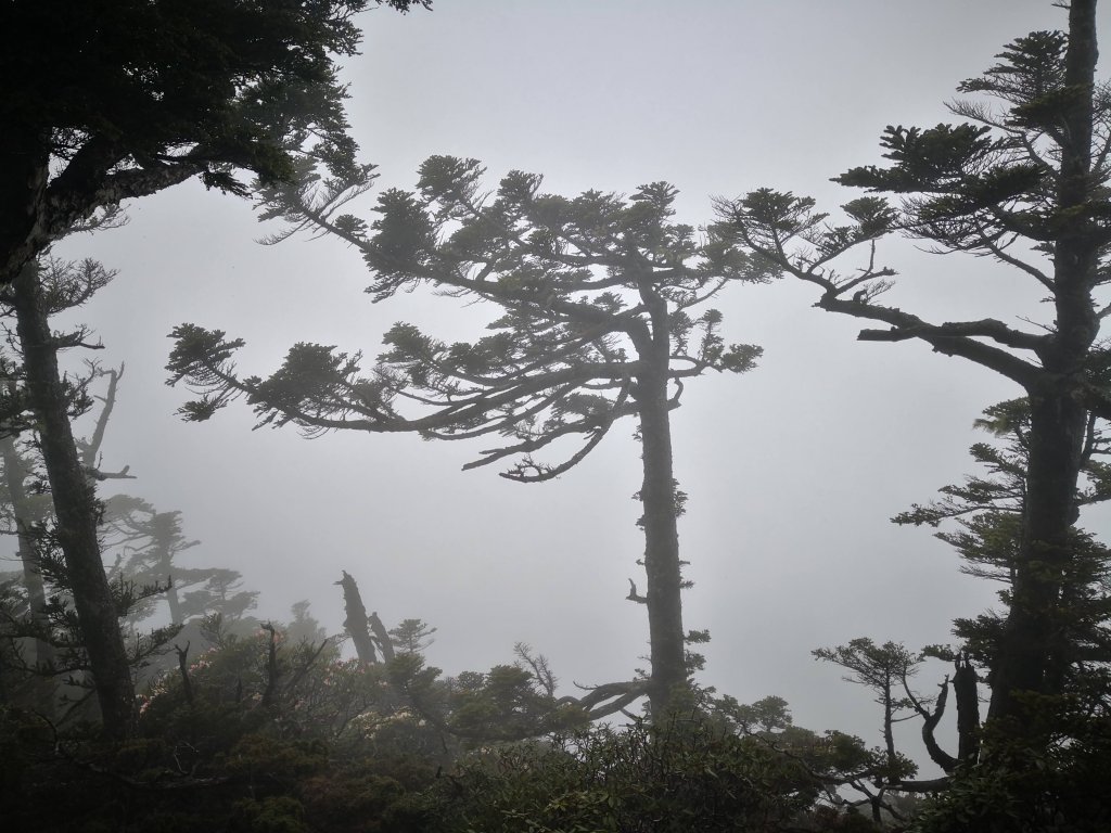 108.04.14~15品田、池有山_567062