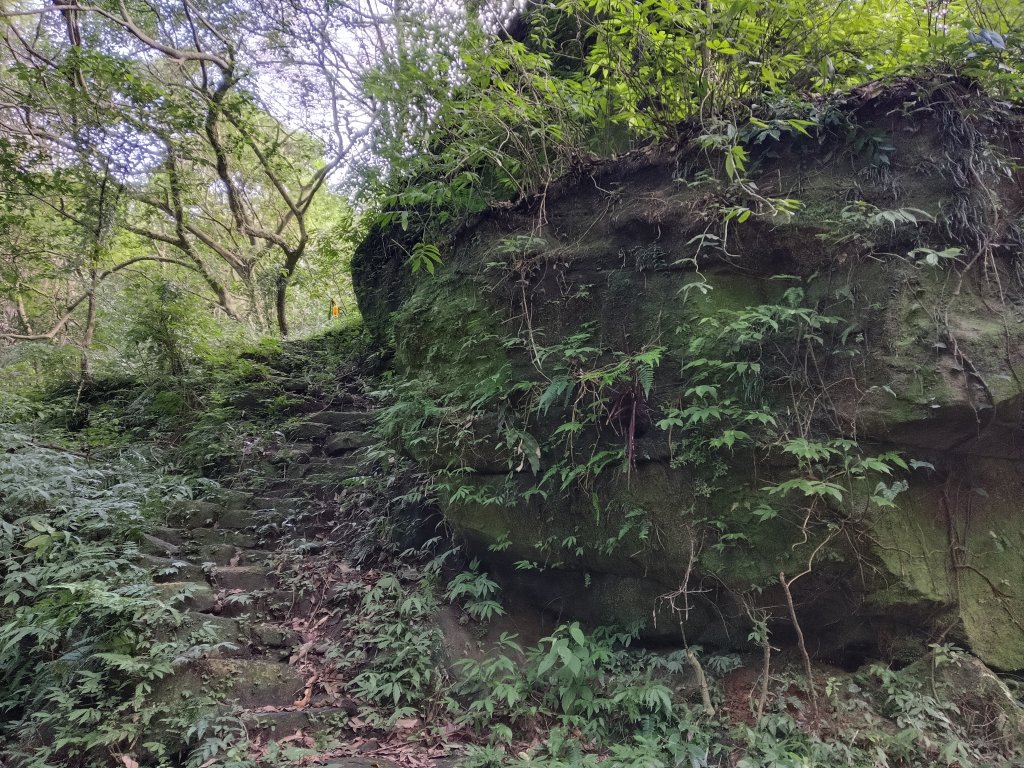 汐止區茄苳越嶺古道+上鹿窟崙山+九層坪山+四分尾山+大尖山8字走_2981545