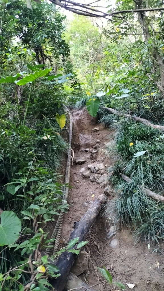 20250203_小百岳女仍山_2706841