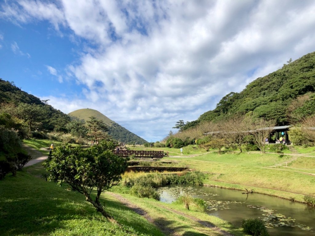 08.面天,向天,芒花海_466640