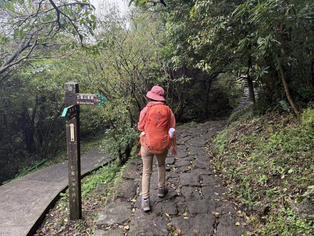 七星山 冷水坑上小油坑下環七星山人車分道O繞 20251108_2934887